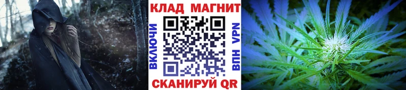 Наркошоп Судогда Конопля  Кокаин  Гашиш 