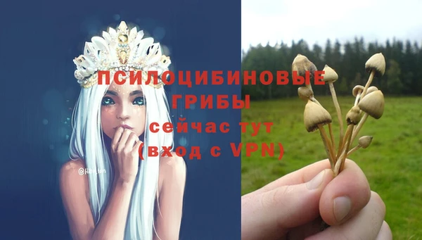 герыч Нягань
